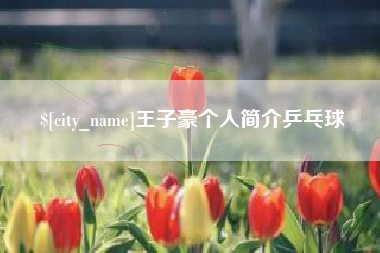 眉山王子豪个人简介乒乓球