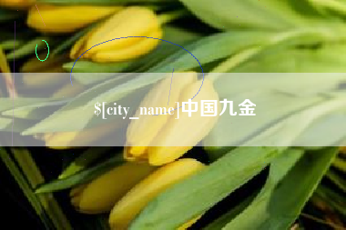眉山中国九金
