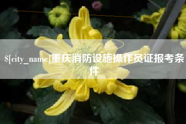 眉山重庆消防设施操作员证报考条件