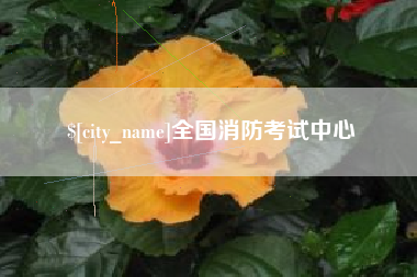 眉山全国消防考试中心