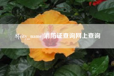 眉山消防证查询网上查询