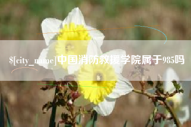眉山中国消防救援学院属于985吗