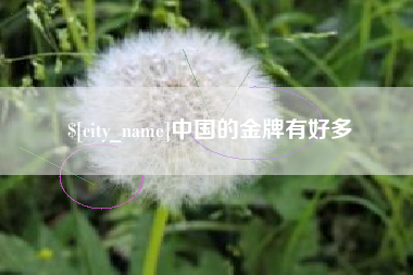 眉山中国的金牌有好多
