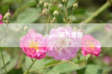 眉山第九金是