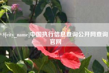 眉山中国执行信息查询公开网查询官网