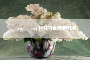 眉山中国的金牌有几名