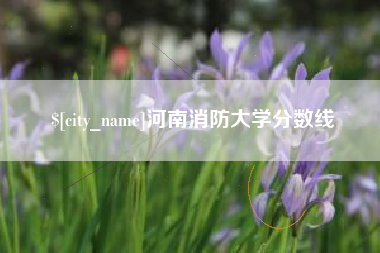 眉山河南消防大学分数线