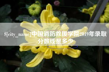 眉山中国消防救援学院2019年录取分数线是多少