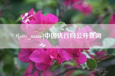 眉山中国执行网公开查询