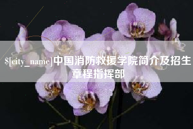 眉山中国消防救援学院简介及招生章程指挥部
