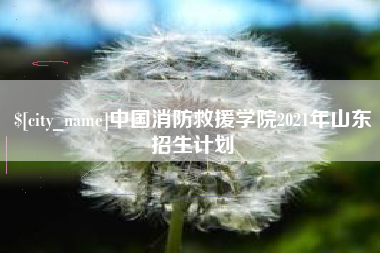 眉山中国消防救援学院2021年山东招生计划