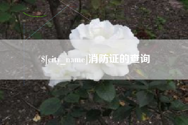 眉山消防证的查询