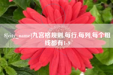 眉山九宫格规则,每行,每列,每个粗线都有1-9