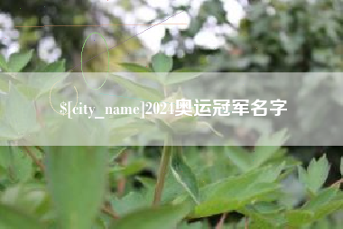 眉山2024奥运冠军名字