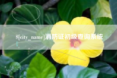 眉山消防证初级查询系统