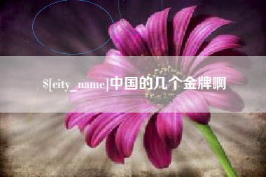眉山中国的几个金牌啊