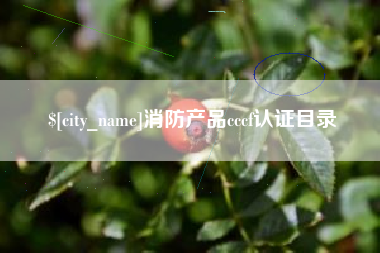 眉山消防产品cccf认证目录