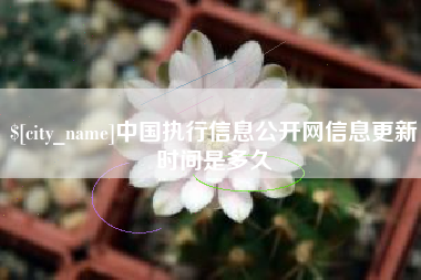 眉山中国执行信息公开网信息更新时间是多久