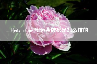 眉山奥运金牌榜是怎么排的