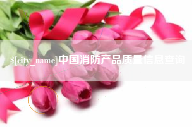眉山中国消防产品质量信息查询