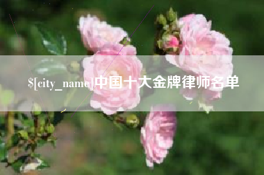 眉山中国十大金牌律师名单