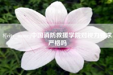 眉山中国消防救援学院对视力要求严格吗