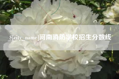 眉山河南消防学校招生分数线