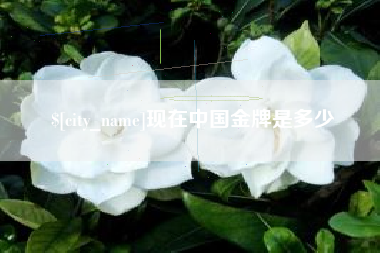 眉山现在中国金牌是多少