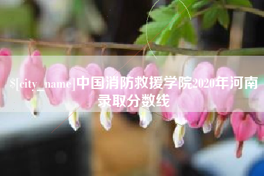 眉山中国消防救援学院2020年河南录取分数线