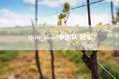 眉山中国队 冠军