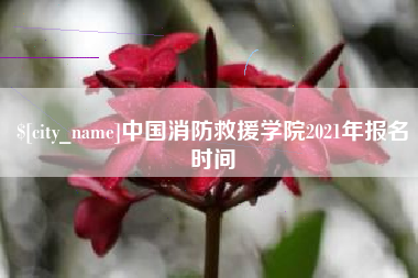 眉山中国消防救援学院2021年报名时间