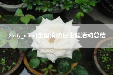 眉山全国消防日主题活动总结