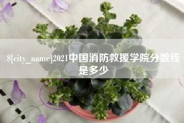 眉山2021中国消防救援学院分数线是多少