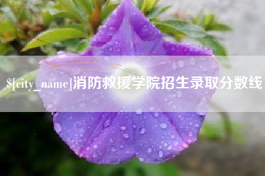 眉山消防救援学院招生录取分数线