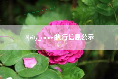 眉山执行信息公示