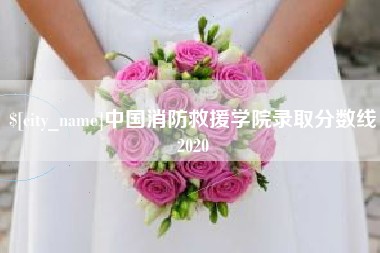 眉山中国消防救援学院录取分数线2020