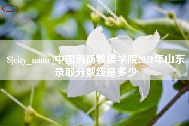 眉山中国消防救援学院2021年山东录取分数线是多少