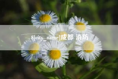 眉山成都 消防