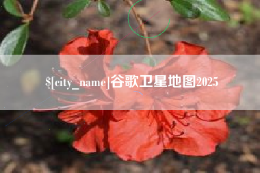 眉山谷歌卫星地图2025