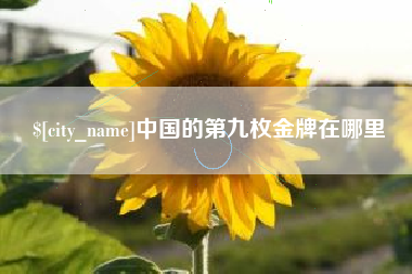 眉山中国的第九枚金牌在哪里