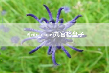 眉山九宫格盘子
