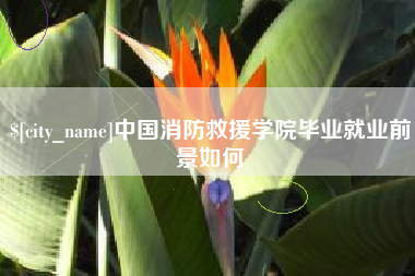 眉山中国消防救援学院毕业就业前景如何