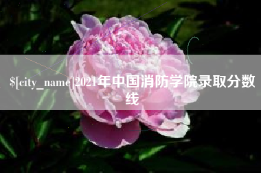 眉山2021年中国消防学院录取分数线