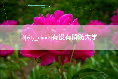 眉山有没有消防大学