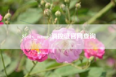 眉山消控证官网查询