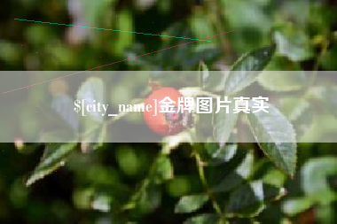 眉山金牌图片真实