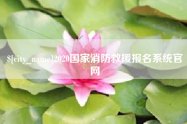 眉山2020国家消防救援报名系统官网