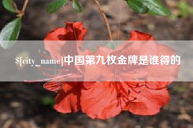 眉山中国第九枚金牌是谁得的