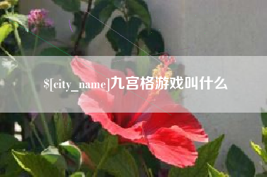 眉山九宫格游戏叫什么