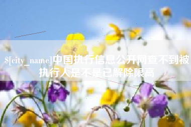 眉山中国执行信息公开网查不到被执行人是不是已解除限高